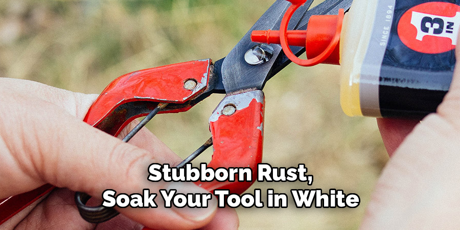 Stubborn Rust, Soak Your Tool in White